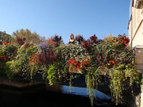 Un petit pont de fleurs...